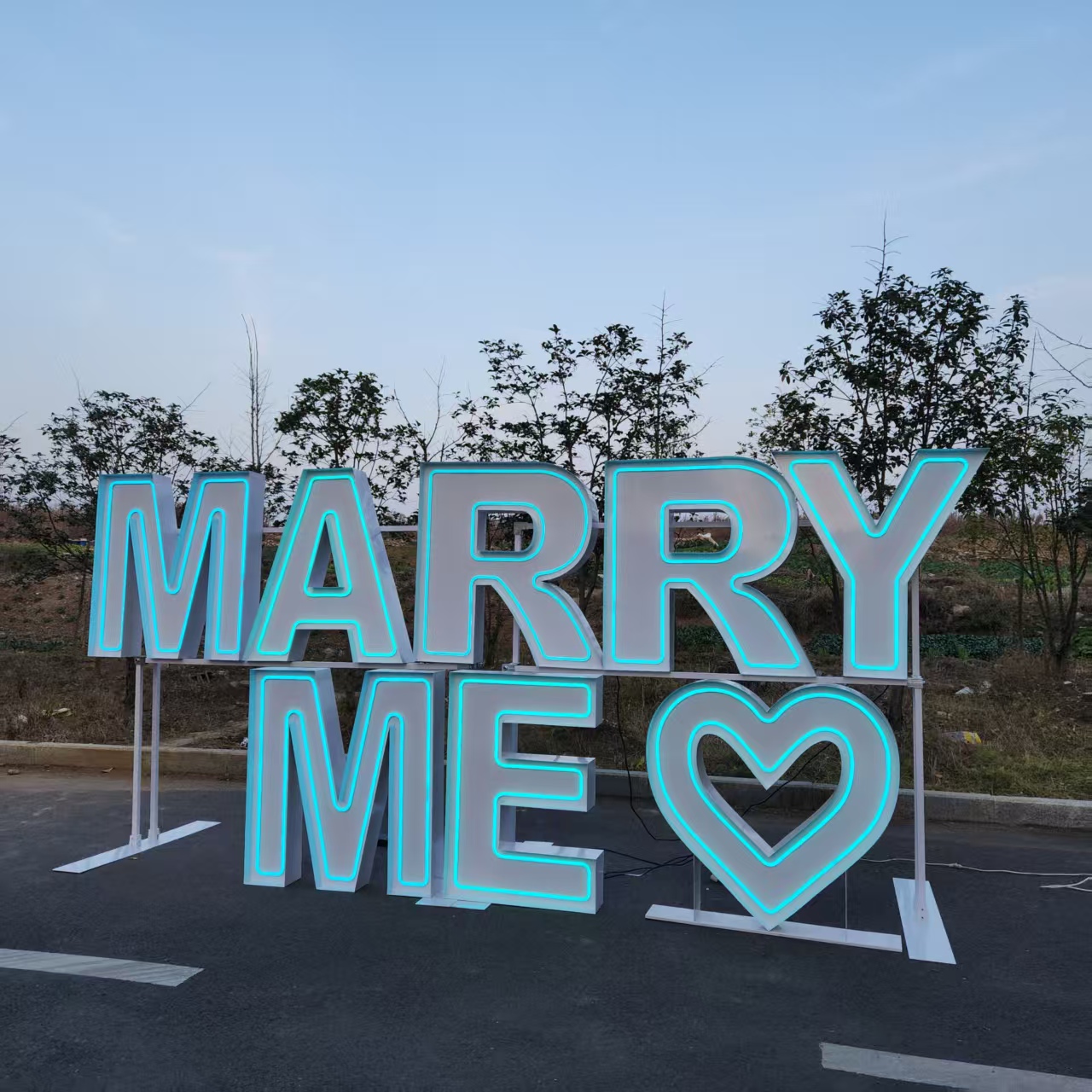 MARRY ME Metal RGB LED Neon Si - Wedding Party Supply Rentals 评论和价格