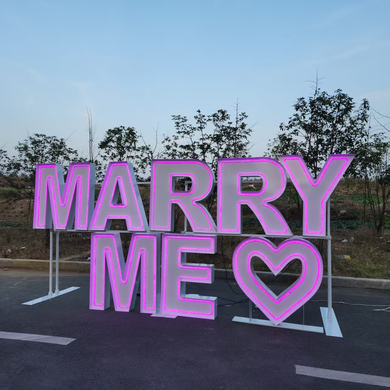 MARRY ME Metal RGB LED Neon Si - Wedding Party Supply Rentals 评论和价格