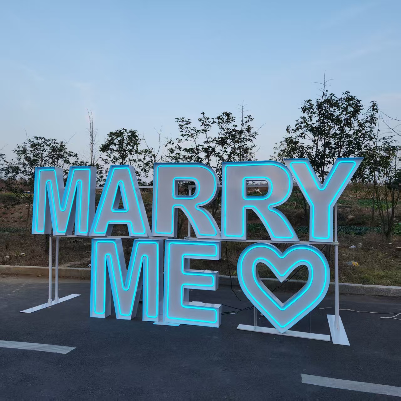 MARRY ME Metal RGB LED Neon Si - Wedding Party Supply Rentals 评论和价格